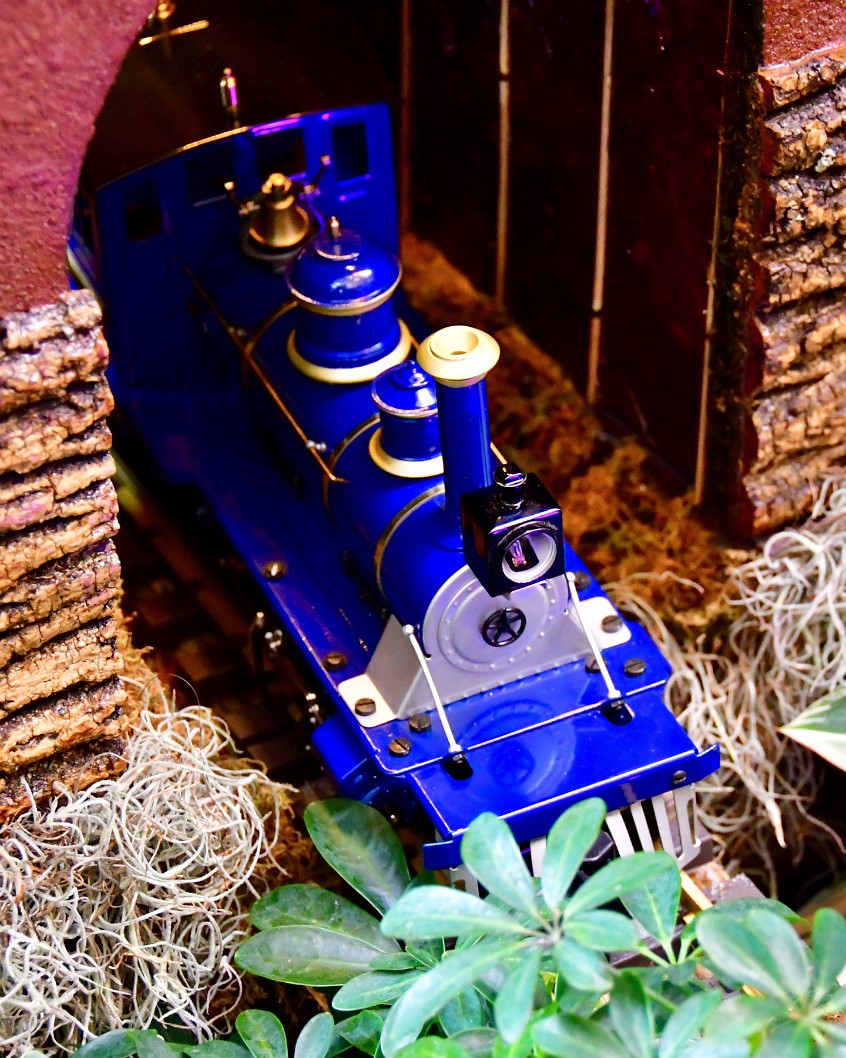 Blue Steam Engine Poking Out